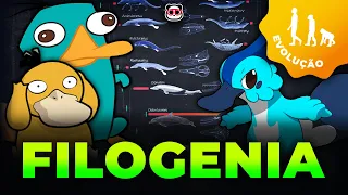 Filogenia