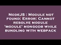 NodeJS Module not found Error Cannot resolve module module mongodb while bundling with webpack