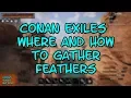 Conan Exiles Where and How to Gather Feathers