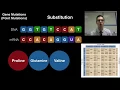 Mutations