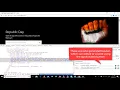 26 Renorex Selocity a Firebug and Firepath replacement