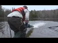 Salmon stocking in northern Maine