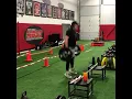 Trap Bar Jump 135 lbs Continuous