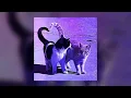 ozuna ~ se preparo (sped up)