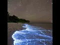 Download Lagu Agua De Estrellas - Bachan Kaur (Lagartijeando Remix)