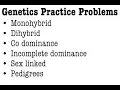 Genetics Practice Problems
