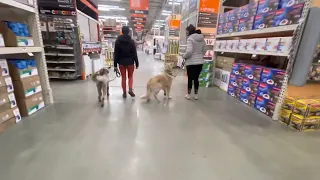 Clancy and Brewster Home Depot
