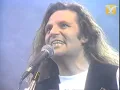 Miguel Mateos, Mi sombra en la pared, Festival de Viña 1991