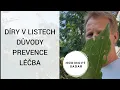 Download Lagu 🌳Skvrnitost🌳Dírkovitost🌳Mšice🌳Brouci🌳Housenky🌳Roztoči🌳Kroupy🌳