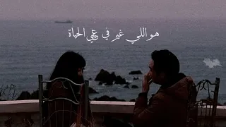 حالات واتس عمرو دياب Amr Diab 