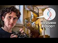 I Investigated the Loretto Staircase Miracle