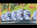 Download Lagu Moveable Apps | Grizzy \u0026 the lemmings | 25' Compilation | 🐻🐹 Cartoon for Kids