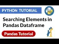 Searching Elements in Pandas Dataframe Pandas Python Tutorial PyPower