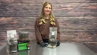 Myco Labs All in One Grow Bag Instructional