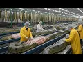 Lagu 🐍 Giant Anaconda Factory! 🏭 From Egg to Luxury Jacket Process 🧥😱 #Manufacturing #AnacondaFactory 