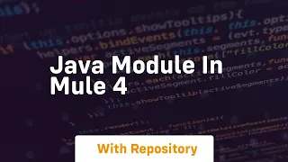 java module in mule 4