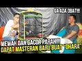 Download Lagu Masteran Murai Batu Mewah Milik Ko Ade Kini Sudah Ada Di Tangan Saya Om Bro
