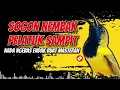 Download Lagu SOGON NEMBAK PELATUK SAMPIT‼️ COCOK UNTUK MASTERAN #sogon #sogongacor #sogokontong