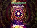 Download Lagu The Wealth Frequency for Success, Money, Power, Positivity \u0026 Abundance