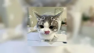 Zachz Winner Doodle 𝙎𝙡𝙤𝙬𝙚𝙙 𝙍𝙚𝙫𝙚𝙧𝙗 