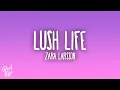 Lagu Zara Larsson - Lush Life