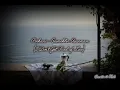 Pinhani - Sevmekten Usanmam (Eng Sub)