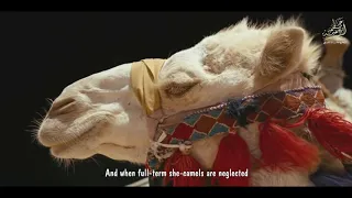 إ ذ ا الش م س ك و ر ت قمة الإبداع و الإمتاع في سورة التكوير للشيخ عبد الباسط رحمه الله 