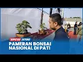 Download Lagu Ratusan Bonsai Dipamerkan dalam Ajang Java Master di Halaman Stadion Joyokusumo Pati