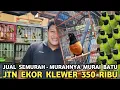 Lagu HRG NYA BIKIN SYOK PETERNAK | MURAI BATU JTN KLEWER 350 RIBU CAK IJO MINI 3'EKOR 200 RIBU PB PRAMUKA