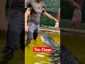 Download Lagu Mensen die VEEL te dicht bij gevaar kwamen #shorts