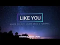 Aaron Cole - LIKE YOU (feat. Tauren Wells & TobyMac) [Lyrics]