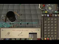 OSRS Grand Seed Pod Scam Awareness