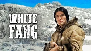 White Fang (1991): The noble wolf-dog battles cruelty and the wild — play along as he finds his human.
