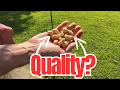 Wildlife Magnet in a Bag Forest Haven Premium Raw Peanuts for Squirrels - 10LB Bulk Squirrel Food