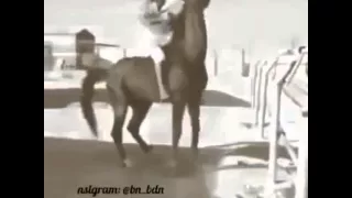 ربعي العجمان 