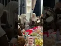 Download Lagu Salfok Ke Pemain Darbuka 🤣