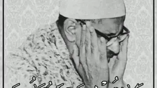 حالات واتس قرآن ولا تخزني يوم يبعثون المنشاوي 