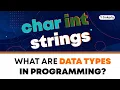 What Are Data Types In Programming Coding For Kids - Tinkerly
