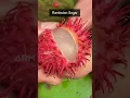 Download Lagu keterampilan memotong buah yang luar biasa dan menenangkan-26||Buah Rambutan#short#buah