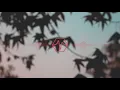 Point North - Hammer [Nothing,Nowhere. Cover]
