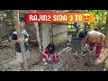 Download Lagu Sis Lundun Membantu Neneknya Menanam Pokok Rambutan💞