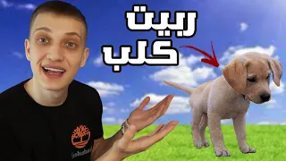 قصة سرقة اول كلب ربيته 