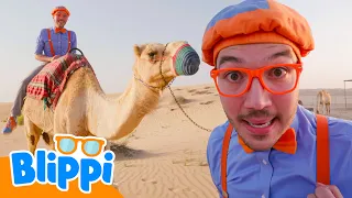 Blippi part en ballade en chameau | Blippi en français | Vidéos éducatives pour enfants