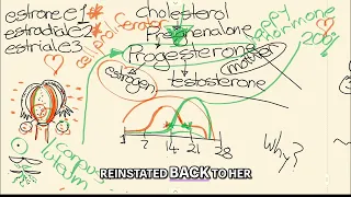 Wild Yam Cream: Natural Progesterone Hormone Balance