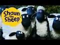 Lagu Sheepwalking | Shaun the Sheep | S1 Full Episodes