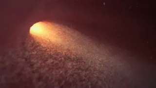 مرگ اسپرم در رحم 