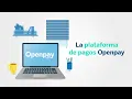 Caracteristicas de la plataforma Openpay 2