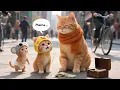 Download Lagu Mama Cat Secretly Sells Her Wedding Necklace to Pay Hospital Bills for the Two Ginger Sisters 🐱💔💍❤️