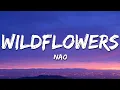 Download Lagu Nao - Wildflowers (Lyrics)