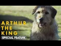 Arthur the King 2024 Special Feature A Love Letter To Arthur - Mark Wahlberg